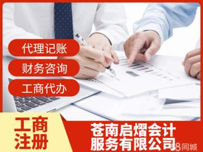 蒼南工商注冊與財務咨詢服務全攻略